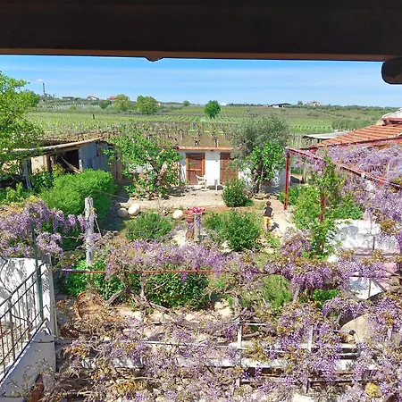 Bed & Breakfast Il Secolo Breve