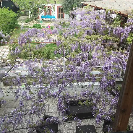 Nocleg ze śniadaniem Il Secolo Breve 3*