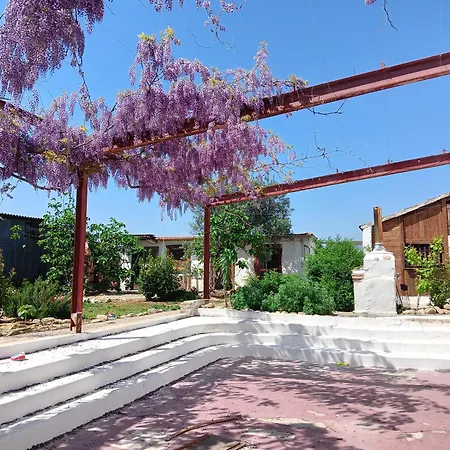 Il Secolo Breve Bed & Breakfast
