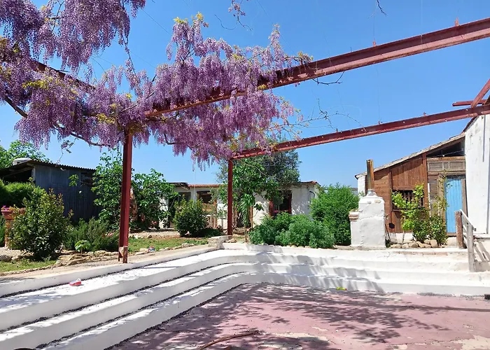 Il Secolo Breve Panzió